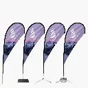 B2TDF-6-s1000.webp