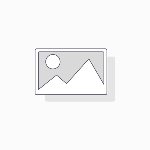 Premium Window Cling
