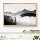 Framed Canvas